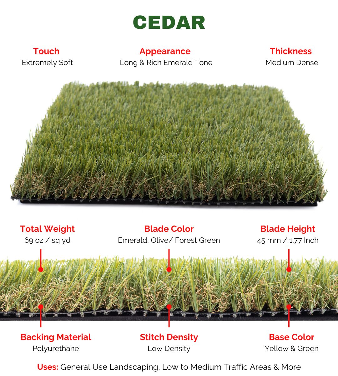 CEDAR LT - Image 4