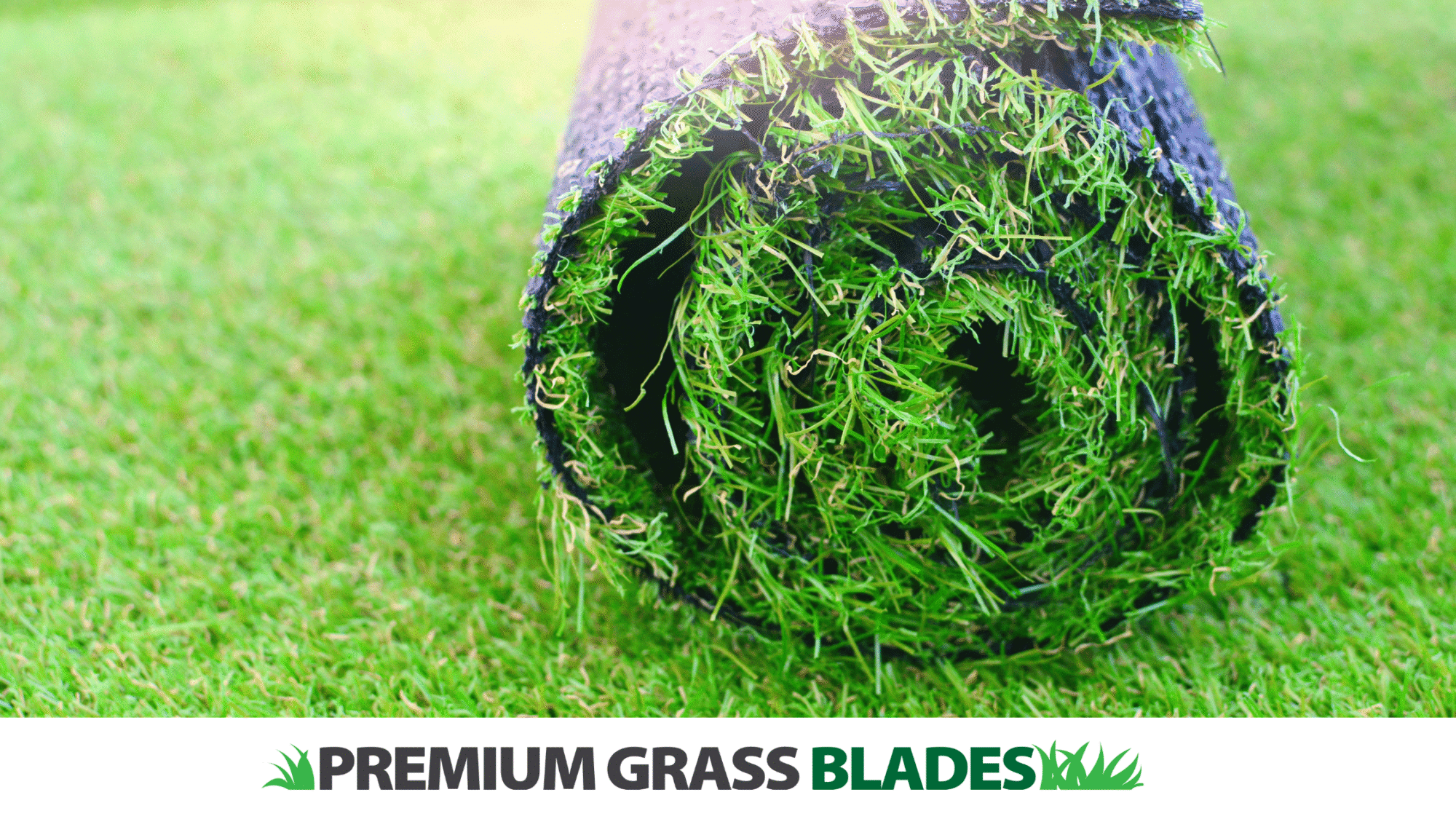 premium grass blades