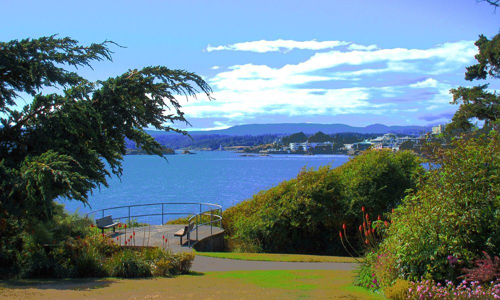 Artificial Turf in Esquimalt
