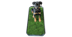 Dog potty & mat