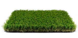 Evergreen Roll End (Batch OOO1) Roll Size 7.5x10 $225 (Reg $321.75)