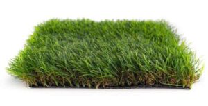 Cedar Roll (Batch T1/0001) Roll Size 7.5X30 $720 (Reg $762.75)