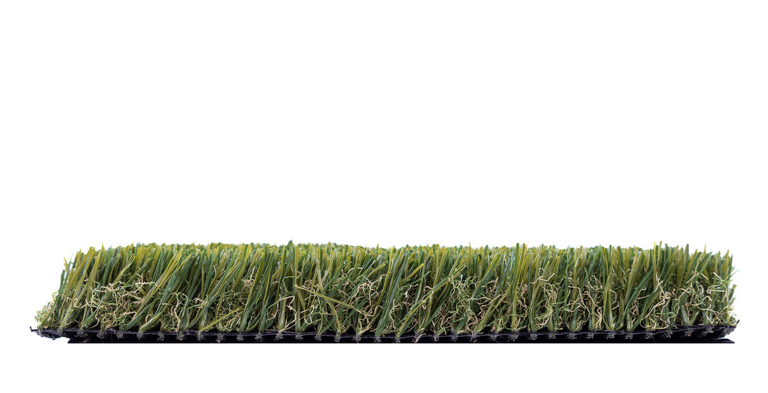 FOREST GREEN ELITE - Image 6