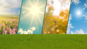 Artificial Turf Care Artificial Turf Care