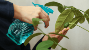 artificial plants