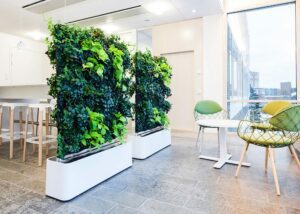 Artificial Indoor Plants