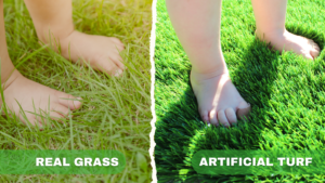 Real Grass vs Artificial Turf