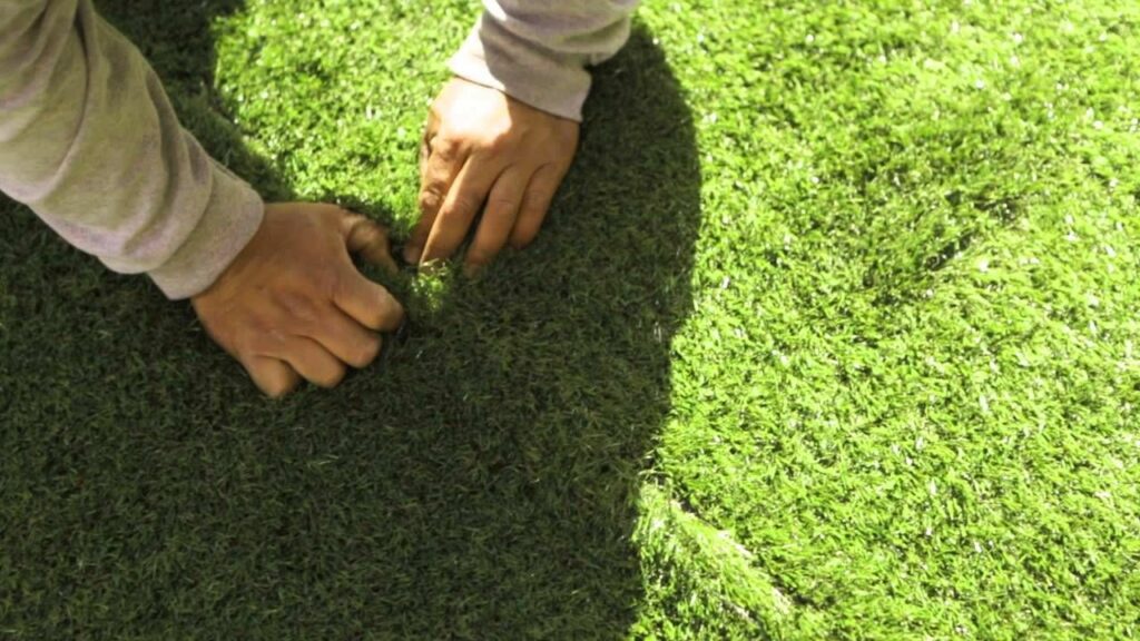 The Ultimate Guide To Premium Grass Blades: How To Choose The Best Option For Your Lawn