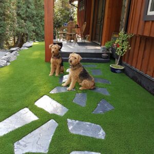synthetic grass for pets synthetic grass for pets